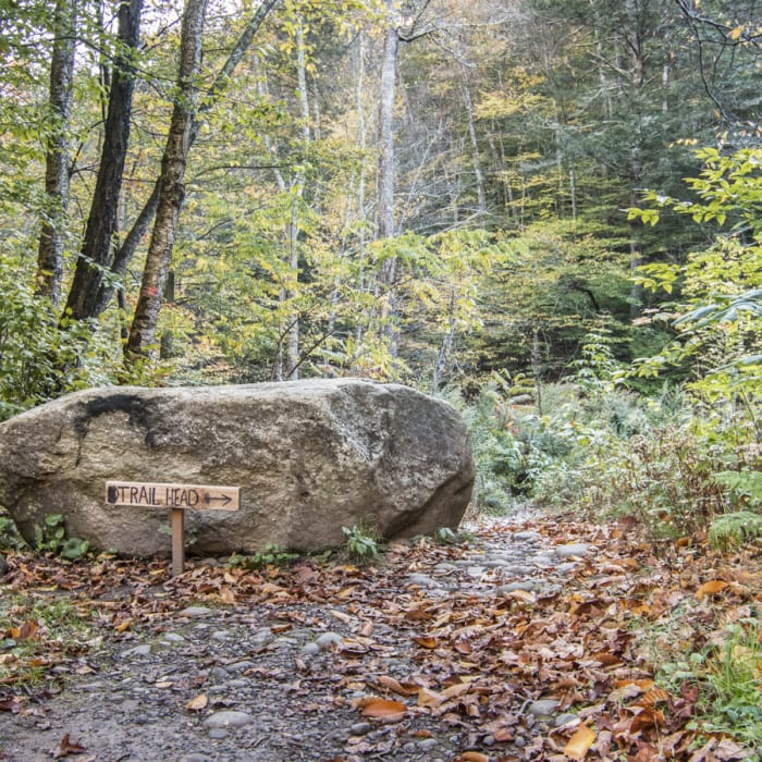 Near Wittenberg + Cornell Mountains