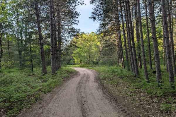 Little Canyon Creek Road