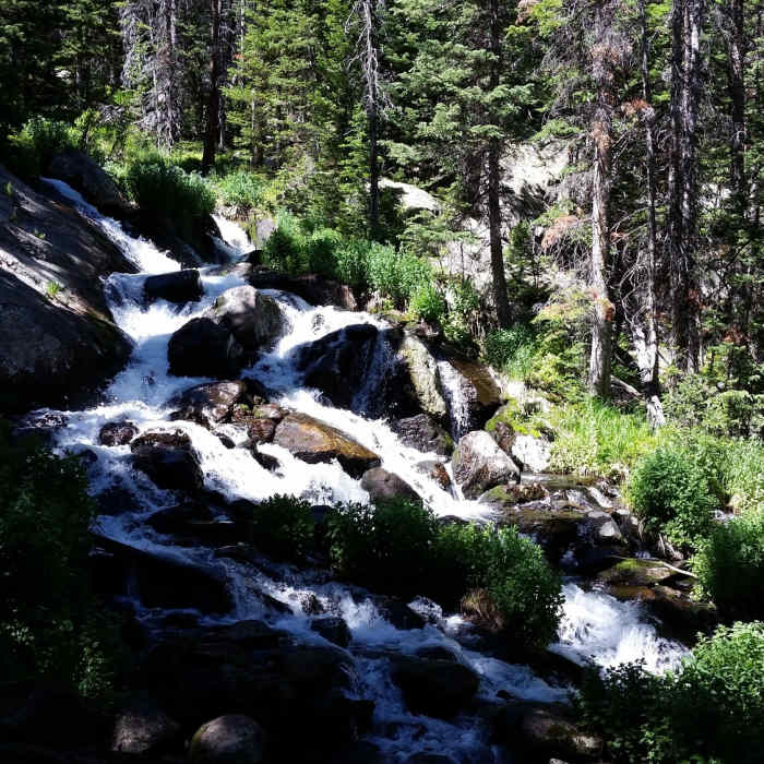 Near Emmaline Lake