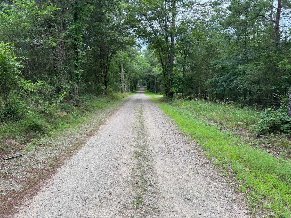 County Road 3546 photo 3