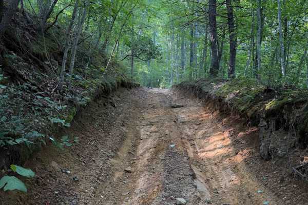 Bowling Branch Trail