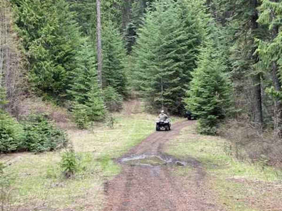 Kiawa Creek Trail photo 3
