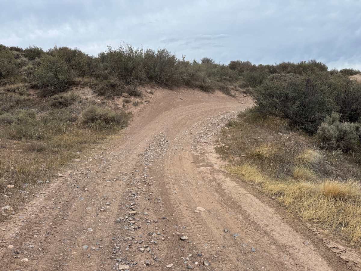Berry Creek Road photo 2