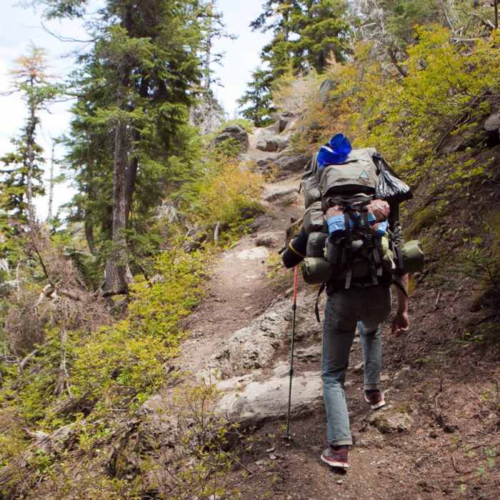 Near Oval Lake + Palisade Point via Lookout Mountain/Divide Trail