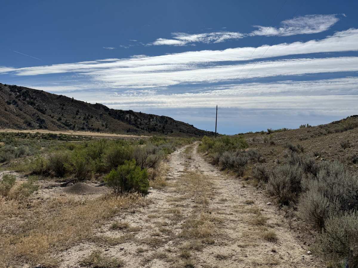 Outer Loop Boundary Trail photo 3