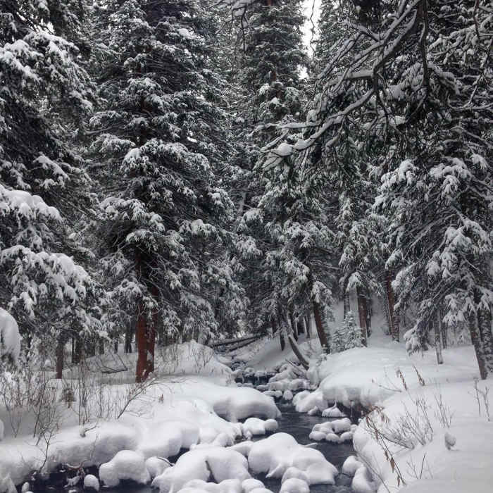 Near Blue River Trail