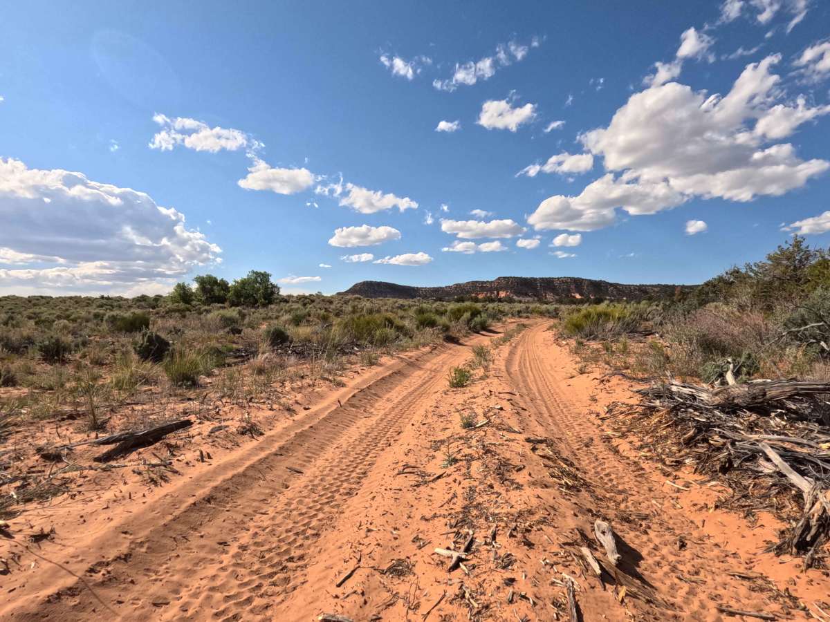 BLM 33 photo 5