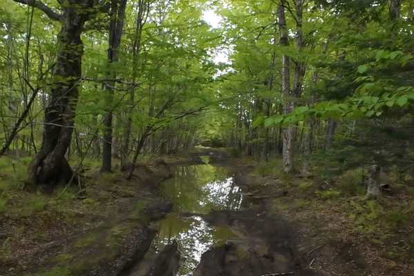 Beaumont Inland Trails