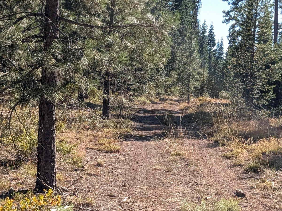 Rap Lost Iron Well - FS 43N35 photo 4