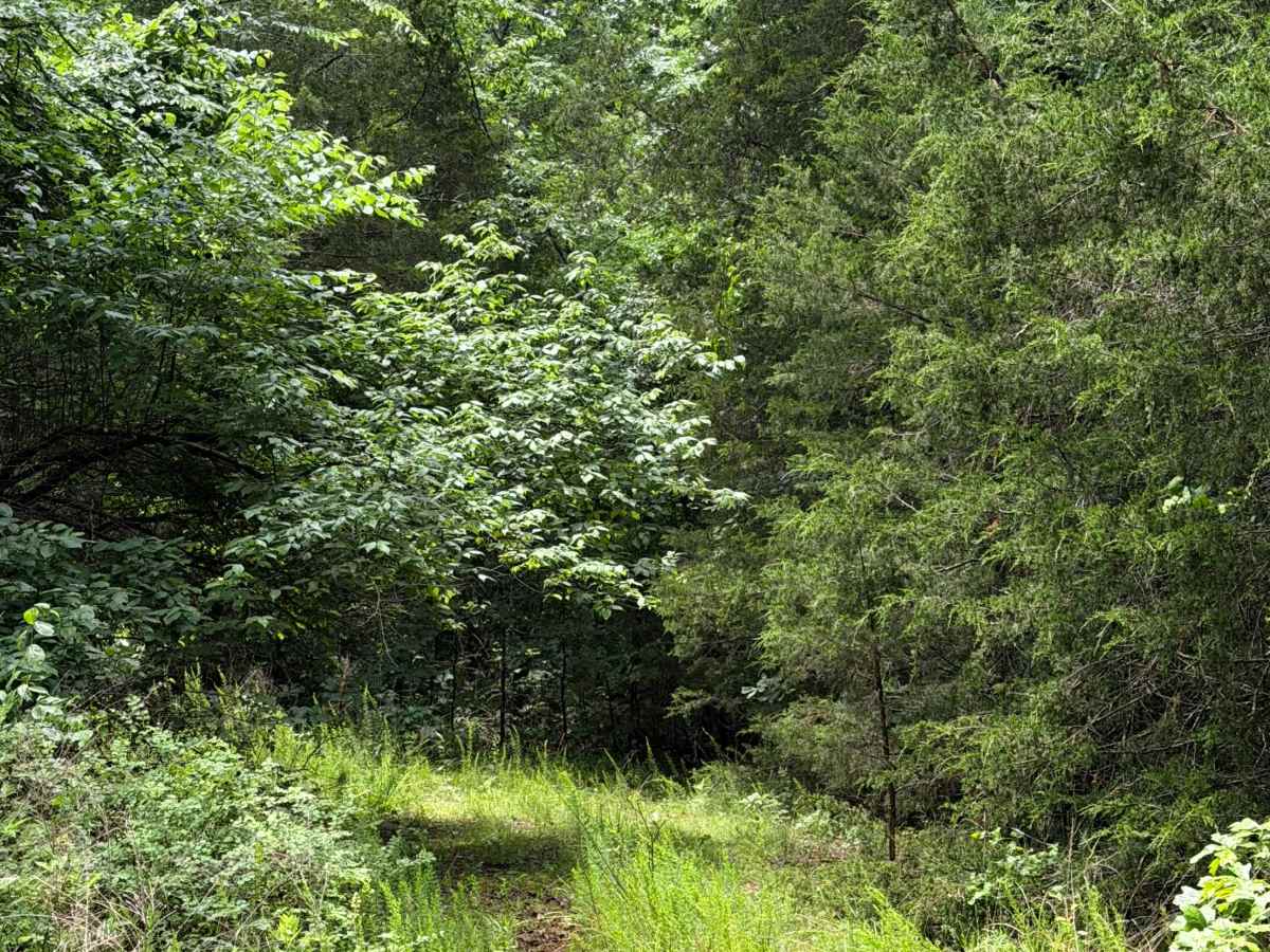 West Prong Passage trail photo