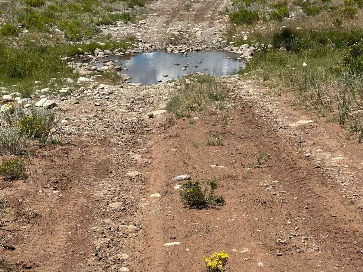 Ponderosa Road photo 3