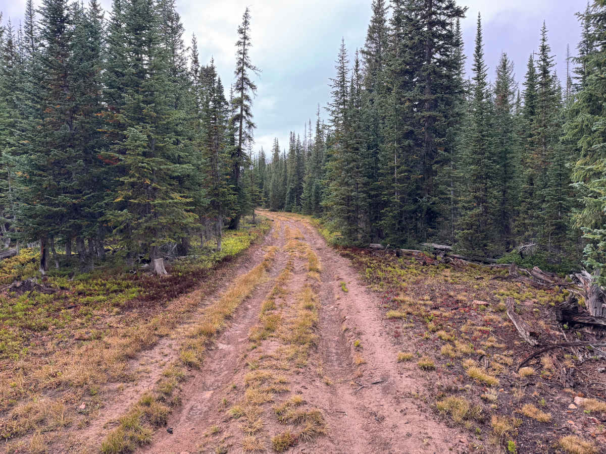Little Woody Road photo 3