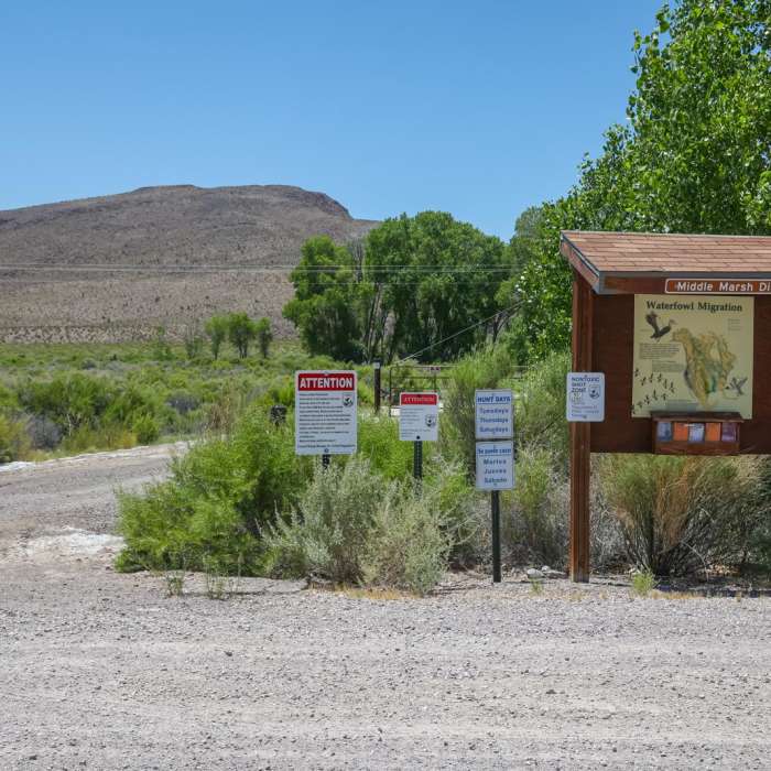 Near Middle Marsh Dike Trail Near Middle Marsh Dike Trail