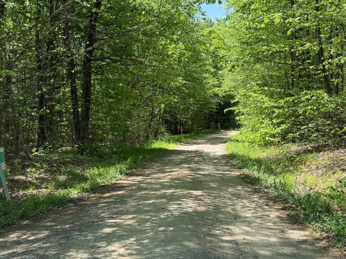 Hubert Run - FS 448 photo 5