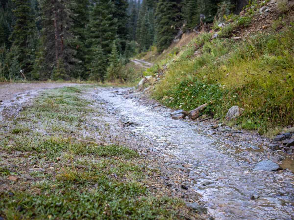 Middle Fork Mineral Creek photo 5