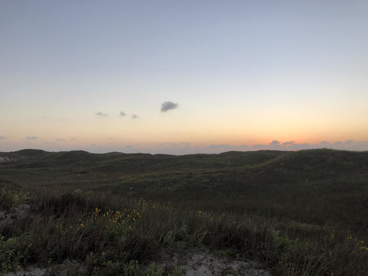 Padre Island National Seashore trail photo