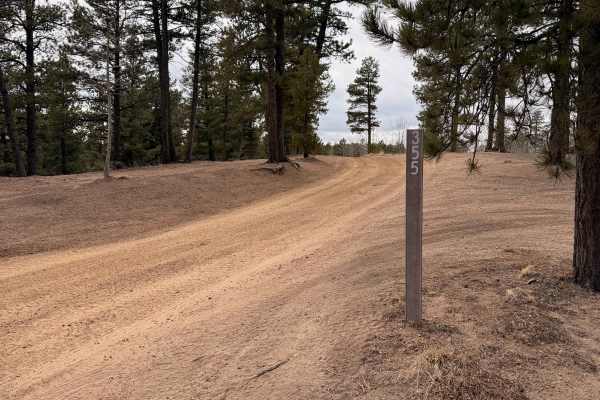 Rankin Road