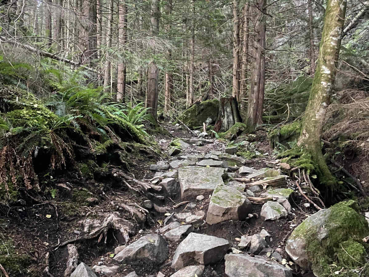 Beggers Gulch Connector photo 2