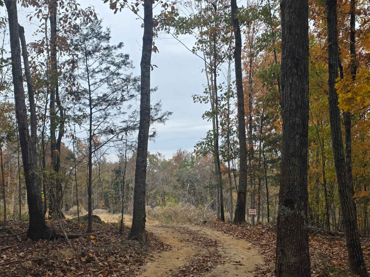 Spectator Ridge photo 5