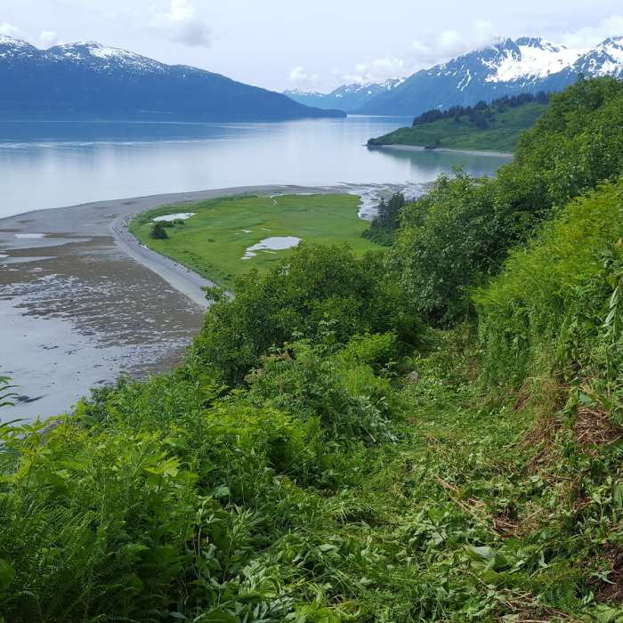 Making the descent to Gold Creek on a sunny day in Valdez. Near Shoup Bay Trail Out-and-Back