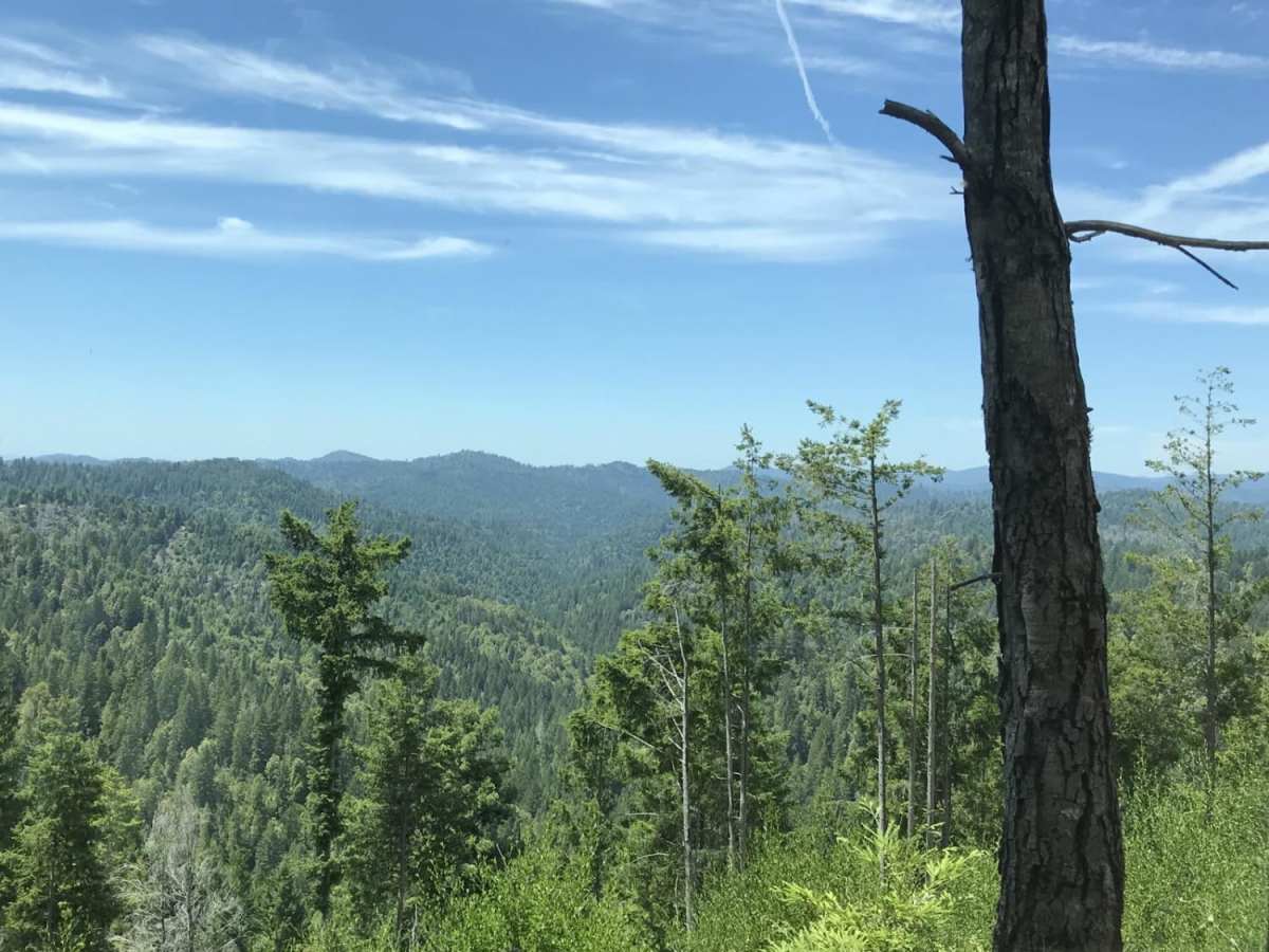 Sherwood Road trail photo