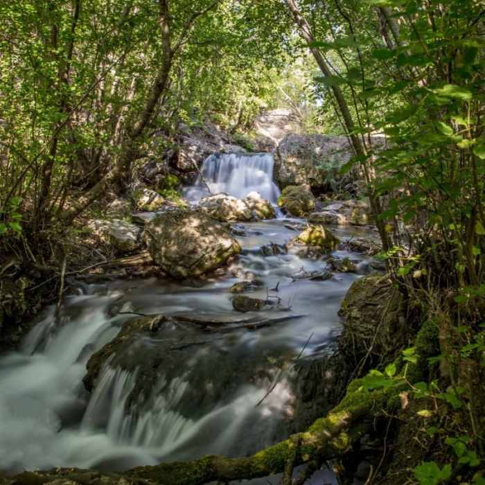 Near Hobbit Caves and Right Hand Fork Waterfall