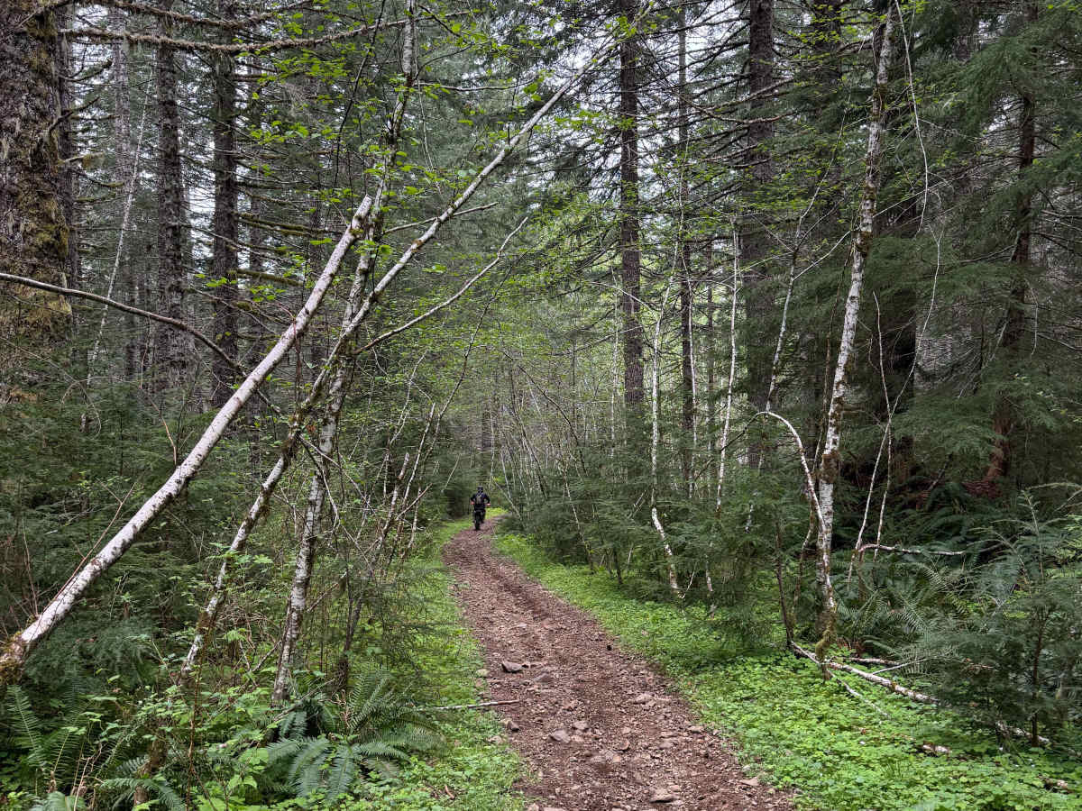 Ginger Creek Access Loop photo 6