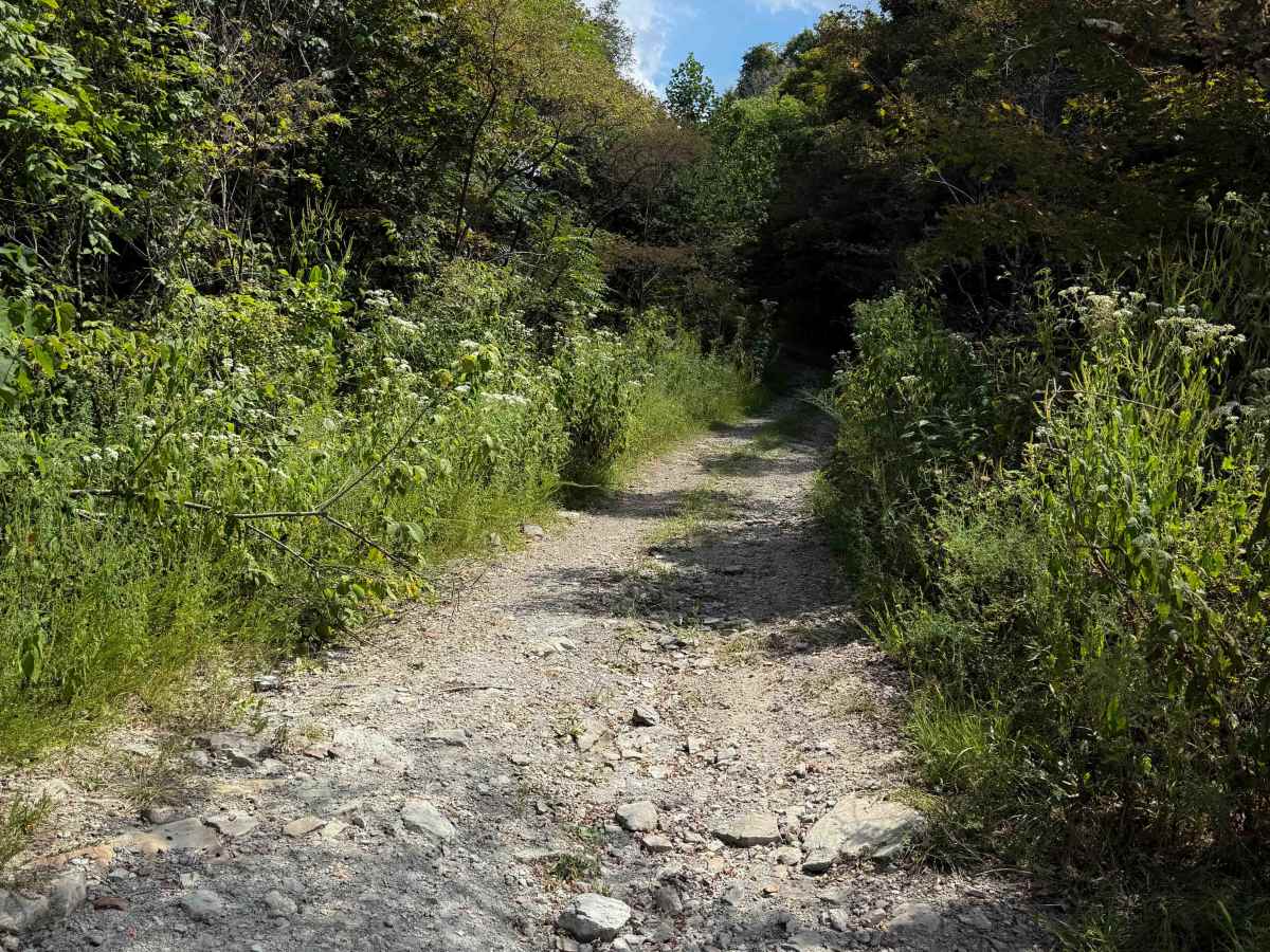 Dry Creek Trail   photo 5