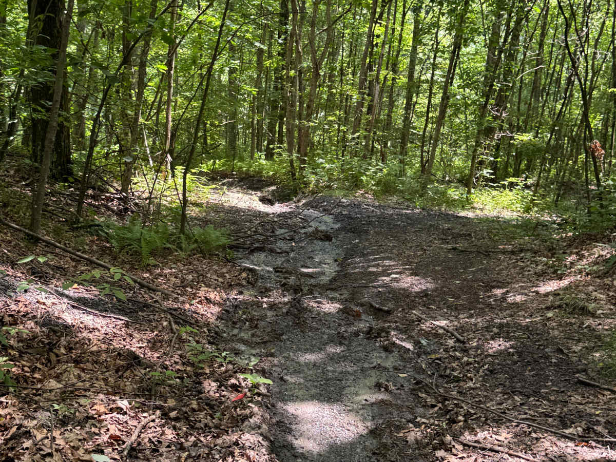 Trail 37 photo 2
