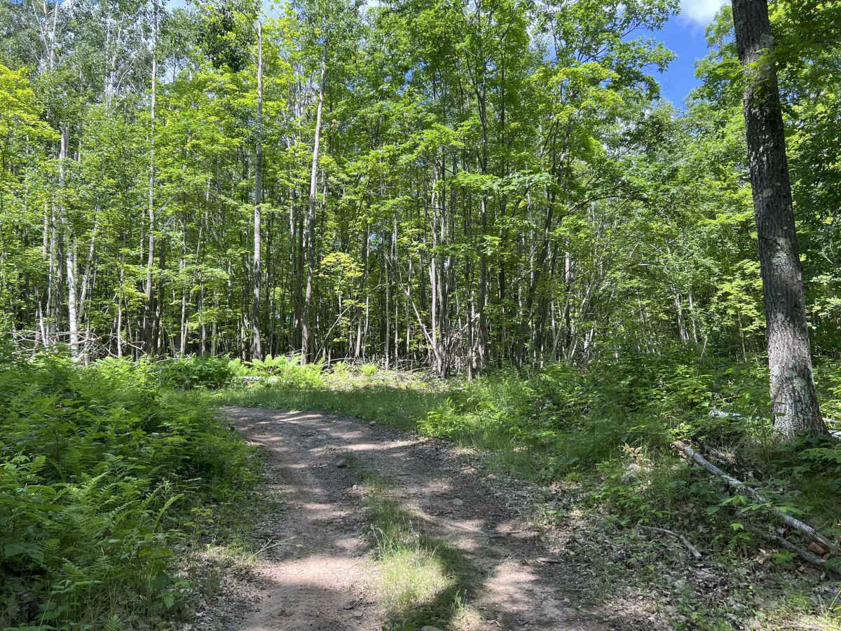 Forest County ATV/ SxS 8 Mile Loop Trail 5 photo 4