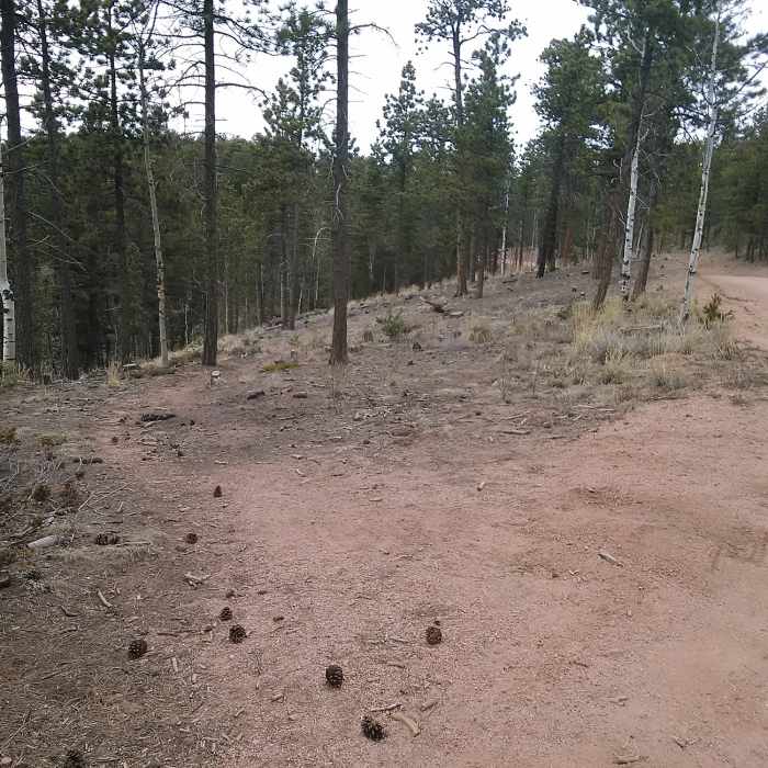 Near Rampart Range Road