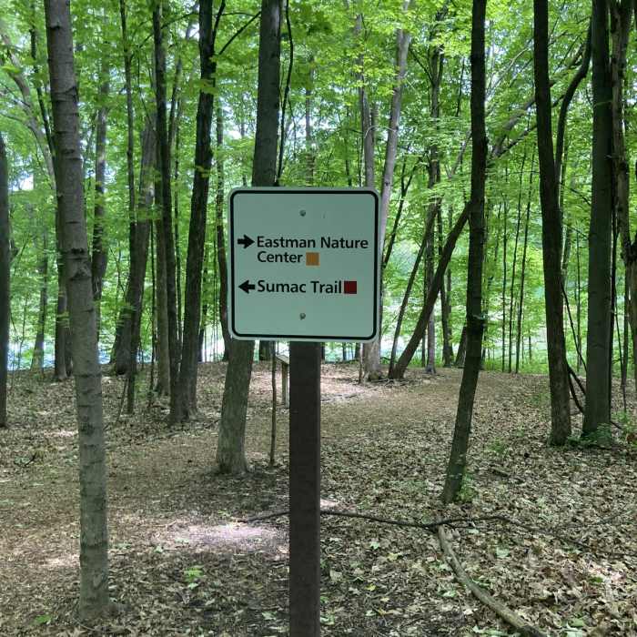 Near Sumac and Meadowlark Loop Near Sumac and Meadowlark Loop