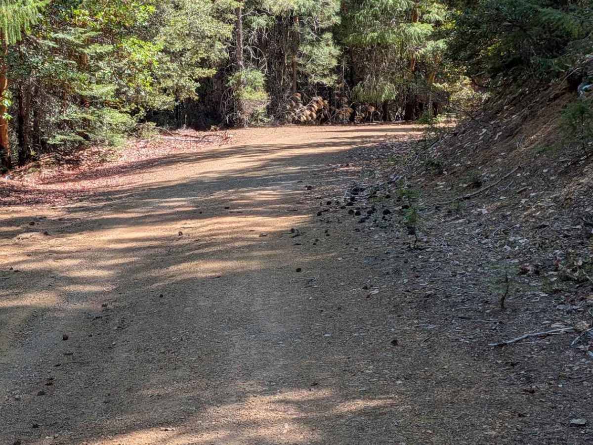 Blue Gulch Road - FS 30N25 photo 3