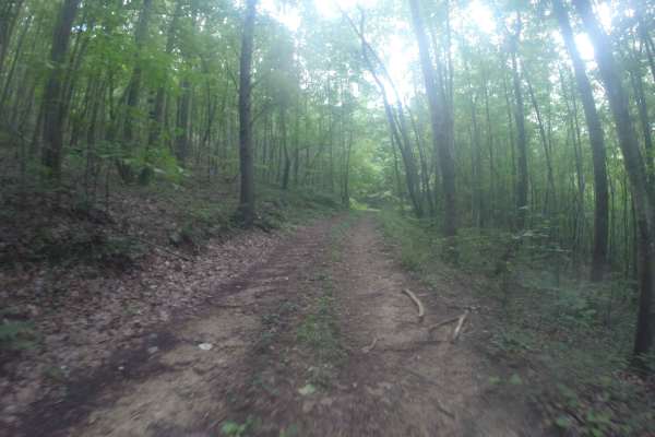Chestnut Mountain Spur - FS 212C