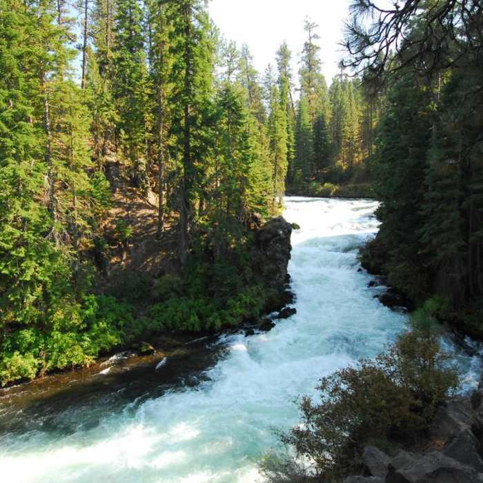 Near Deschutes River Trail, Upper Reach Hiking Trail