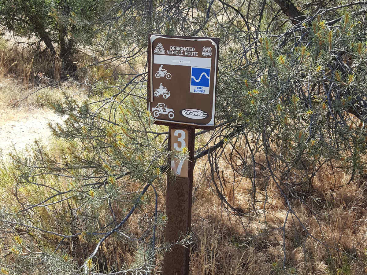 Trail 37 trail photo