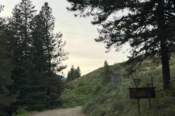 Cub Creek Road