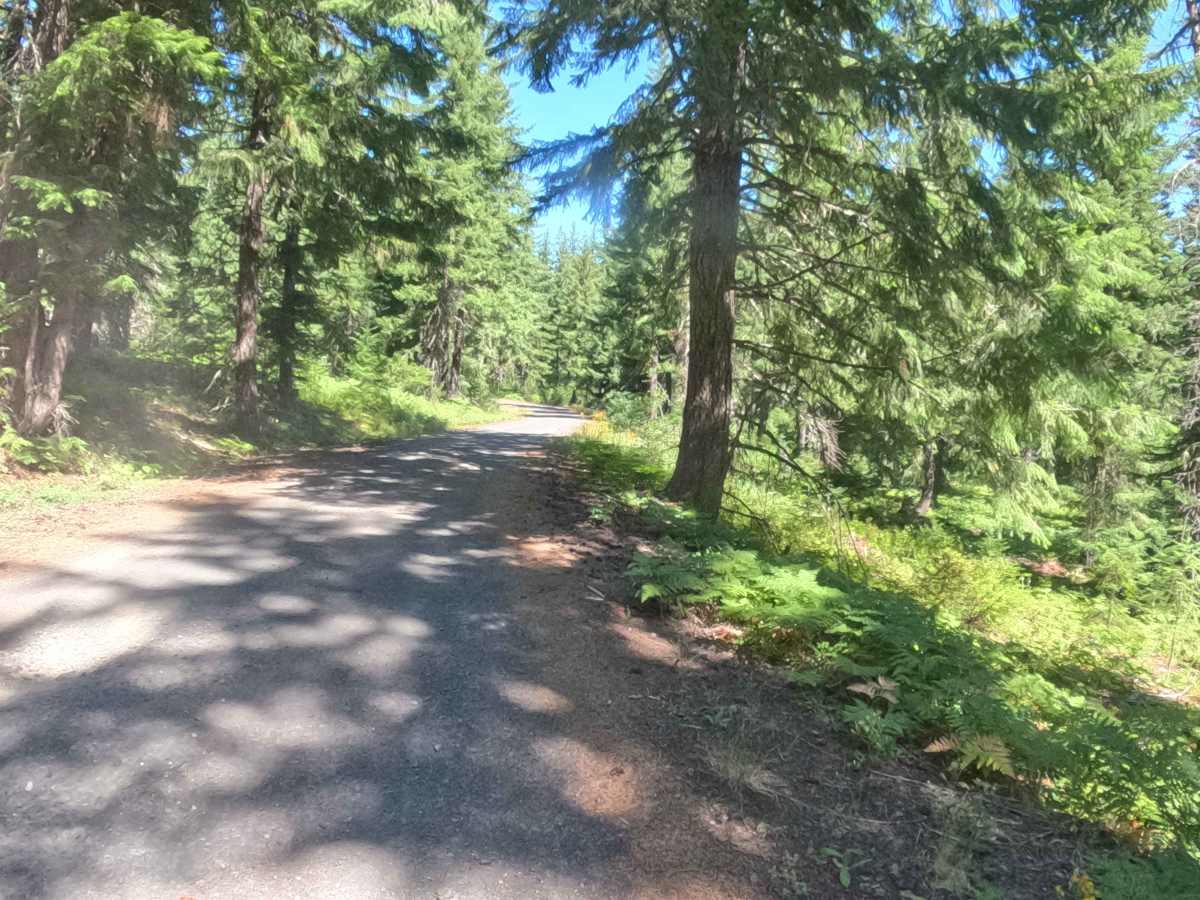 Section 3 Road - FS 2067525  photo 3