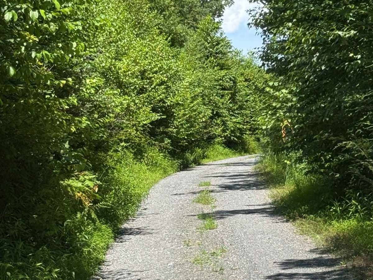 Okome Road photo 5