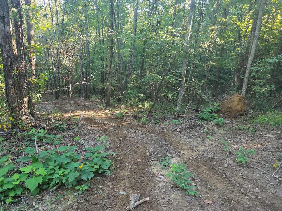 Sink Hole Loop photo 5