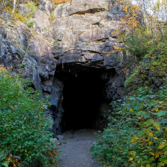 Near Ely's Peak Hike Near Ely's Peak Hike