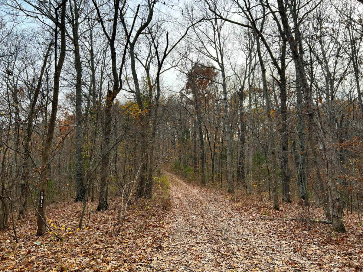 Mary Cole Ridge photo 4