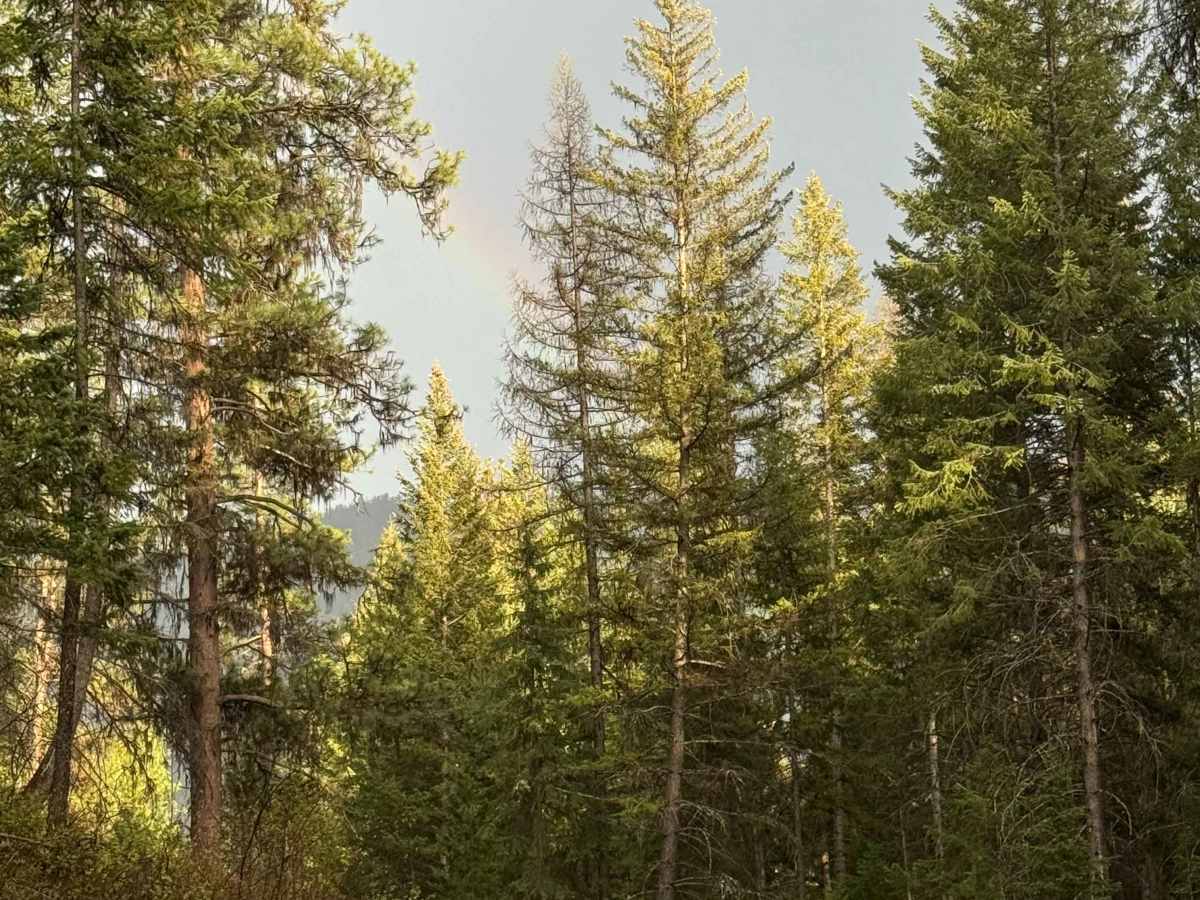 South Boulder - FS 6110 photo 6