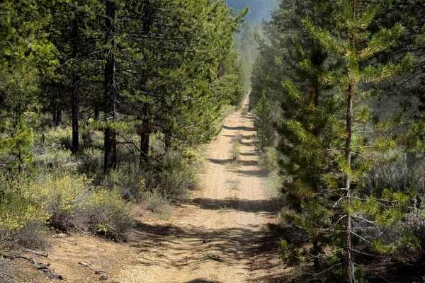 Trail 18 