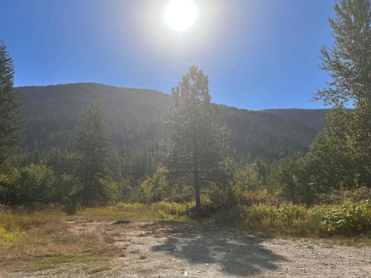 Lower Marten Creek photo 5