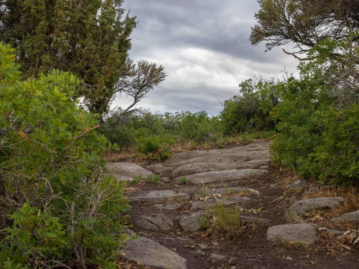 Lower Rocks Road Trail photo 4