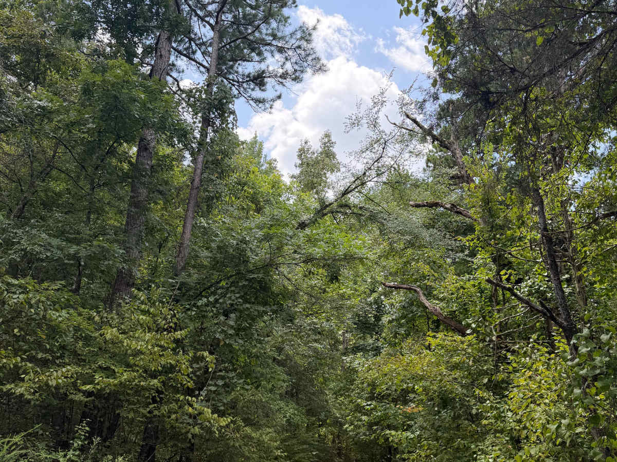 Perry Creek photo 4