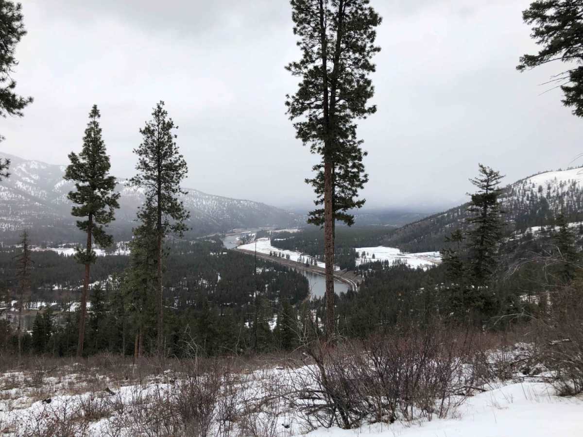 Albert Lothrop Rd 5563 trail photo
