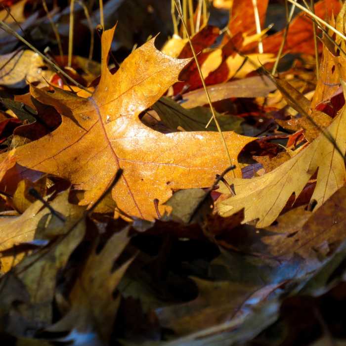 Near Mount Sizer via "The Shortcut"