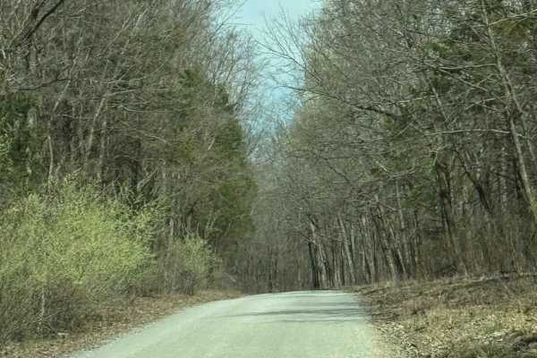 Burden Falls Road